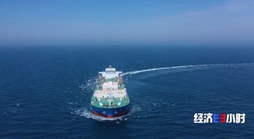 流動(dòng)的海上牧場(chǎng) 探秘10萬噸級(jí)智慧漁業(yè)養(yǎng)殖工船深海作業(yè)與航空國(guó)際貨運(yùn)聯(lián)動(dòng)