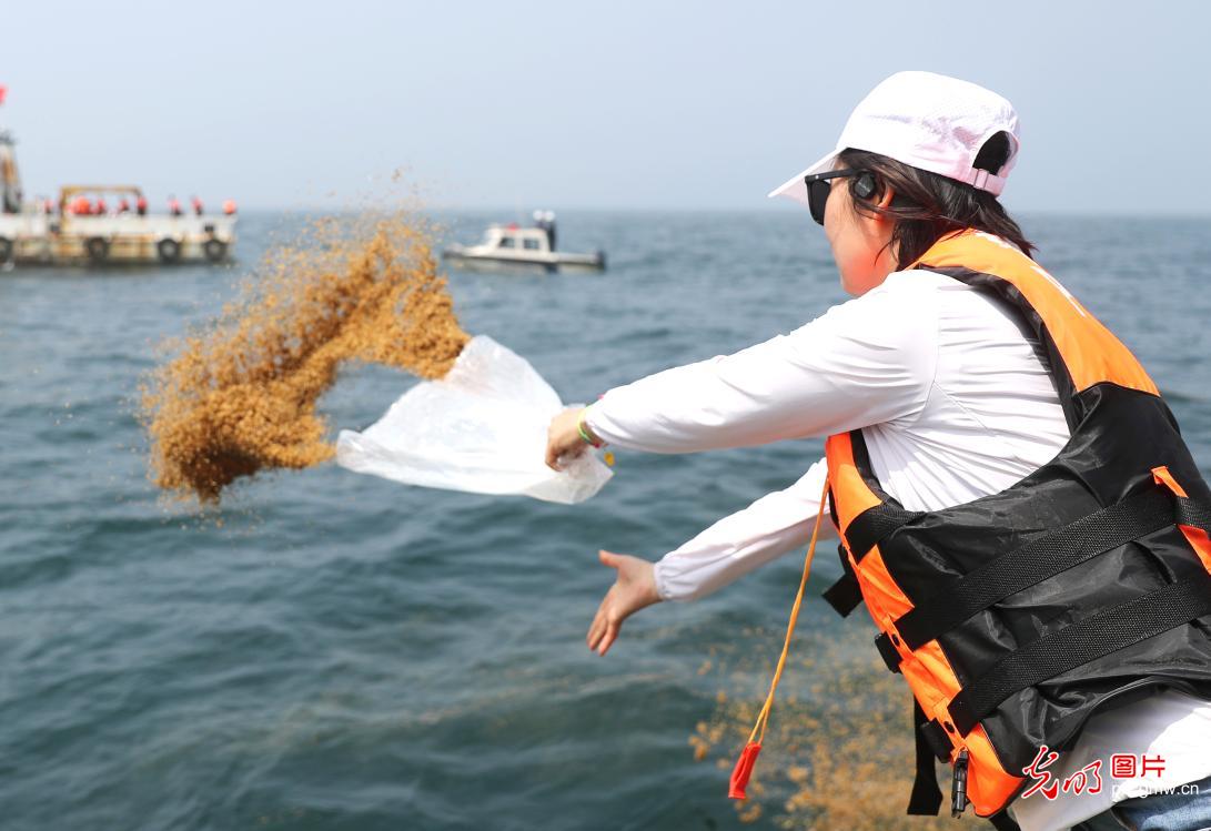 青島 7000多萬單位魚蝦增殖，打造堅(jiān)實(shí)“海上糧倉”